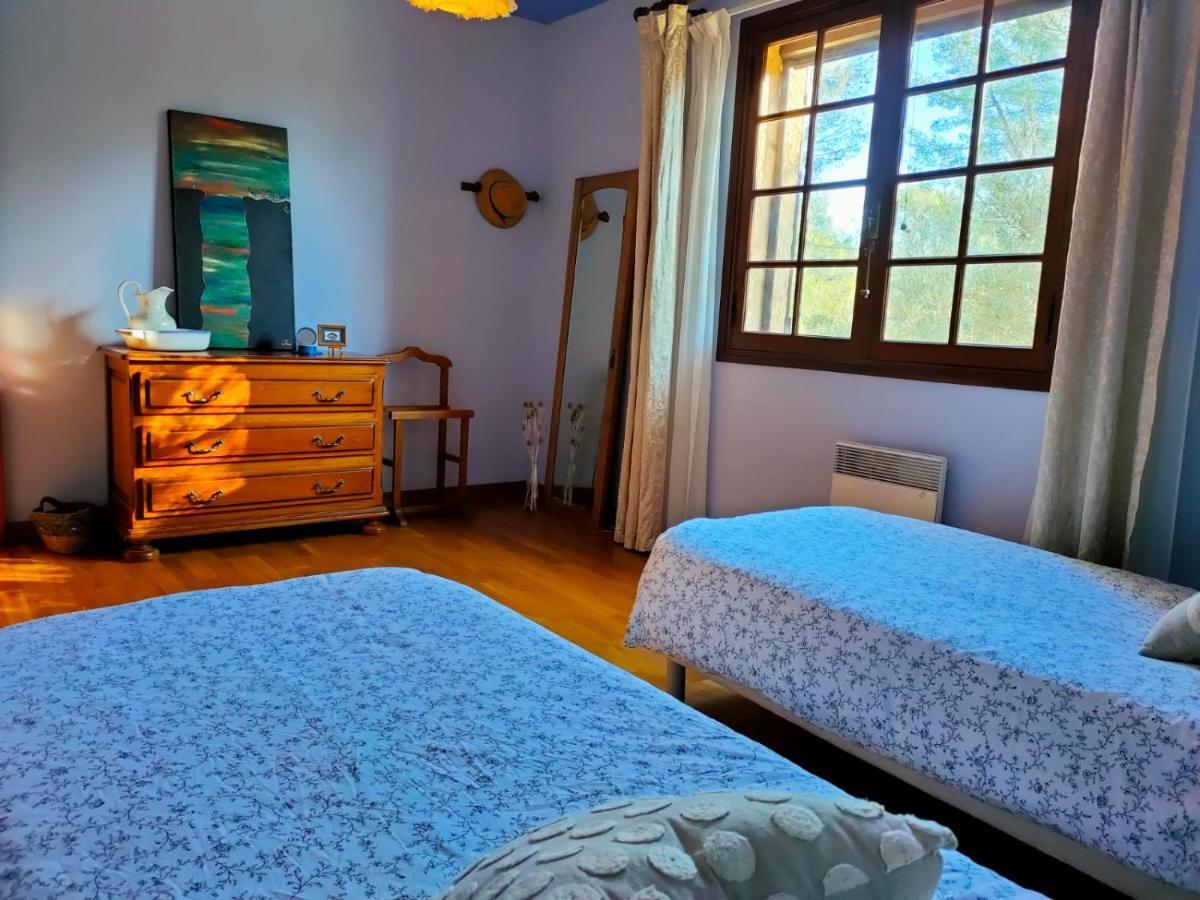 Villa Les Chariotins 德拉吉尼昂 外观 照片