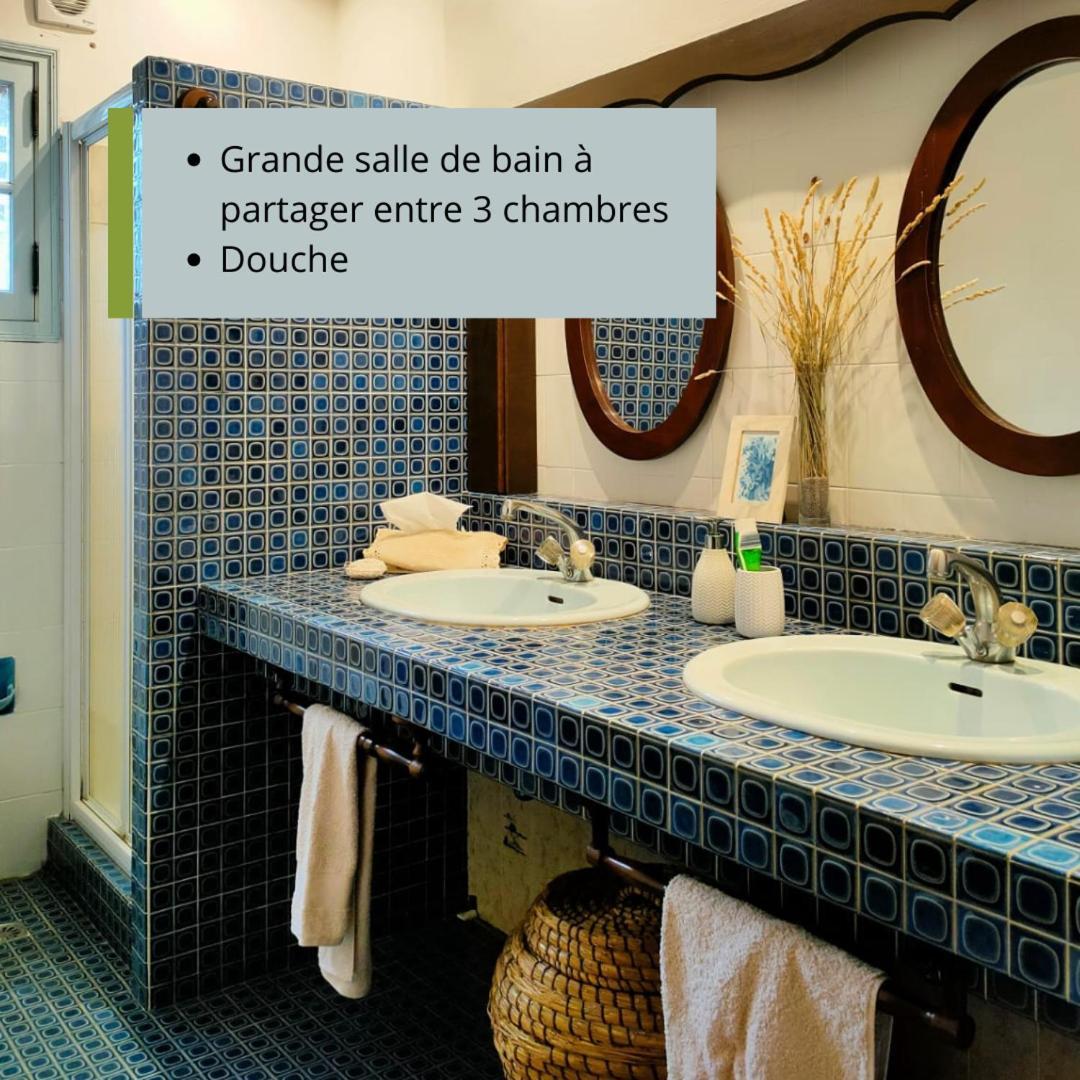 Villa Les Chariotins 德拉吉尼昂 外观 照片