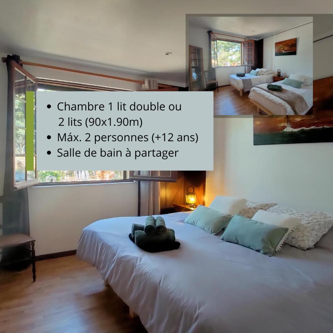 Villa Les Chariotins 德拉吉尼昂 外观 照片
