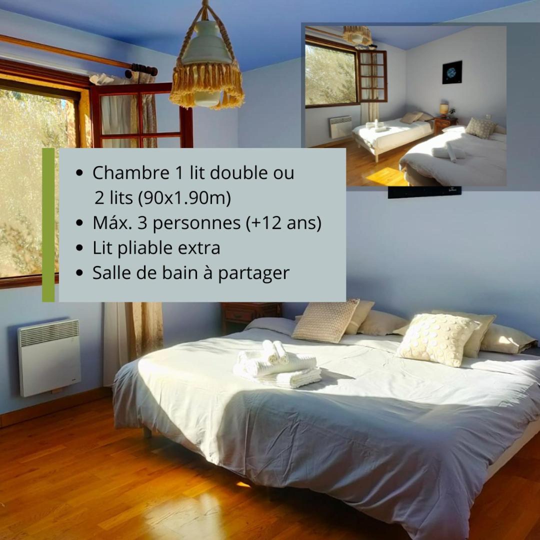Villa Les Chariotins 德拉吉尼昂 外观 照片