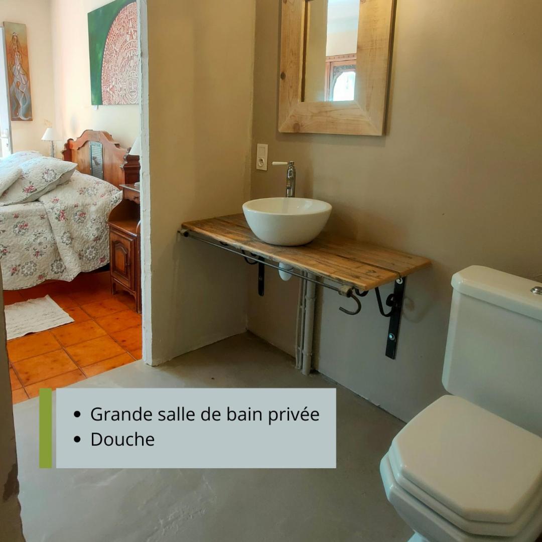 Villa Les Chariotins 德拉吉尼昂 外观 照片